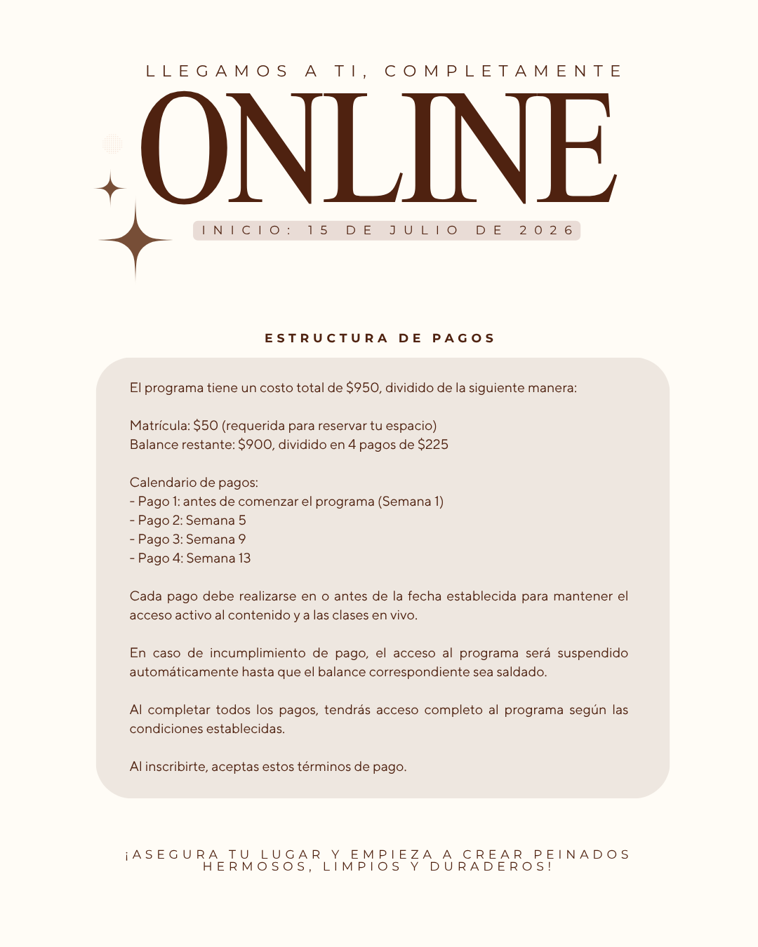 Programa Online de Peinados Elegantes – Matrícula (Clases comienzas el 15 de julio de 2026)