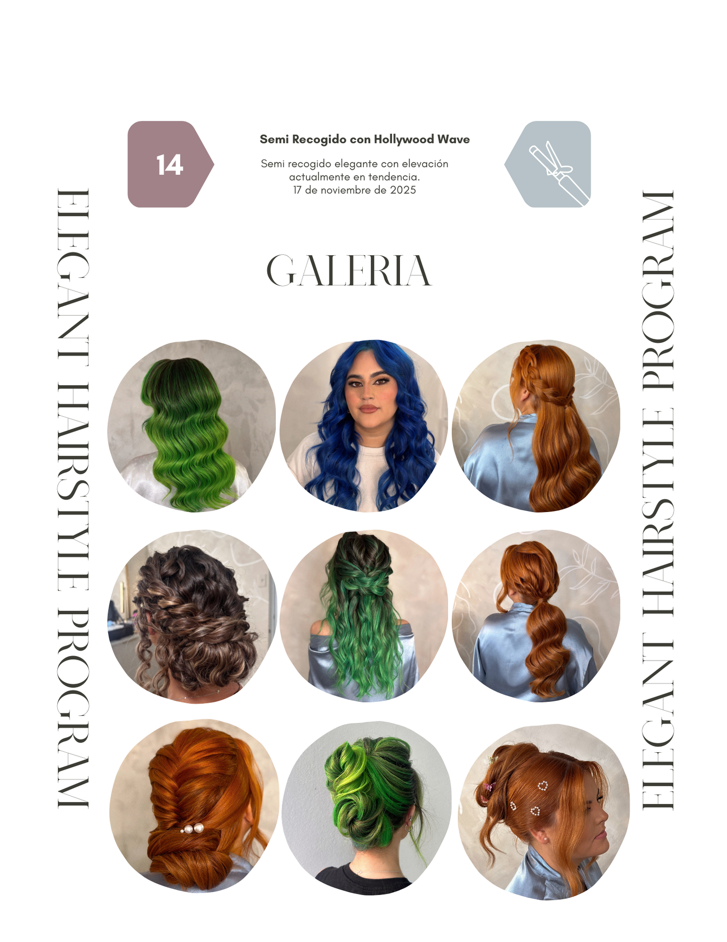 Elegant Hairstyle Program- Matrícula (comienza en agosto 18)