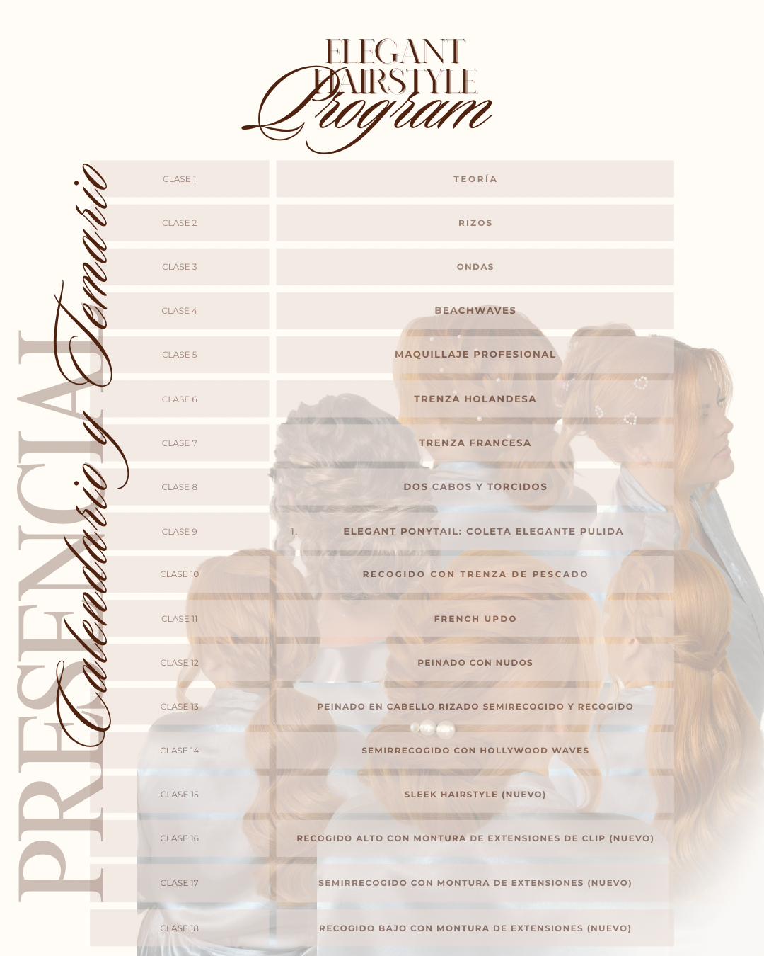 Elegant Hairstyle Program- Matrícula (Clases comienzan el 13 de julio de 2026)