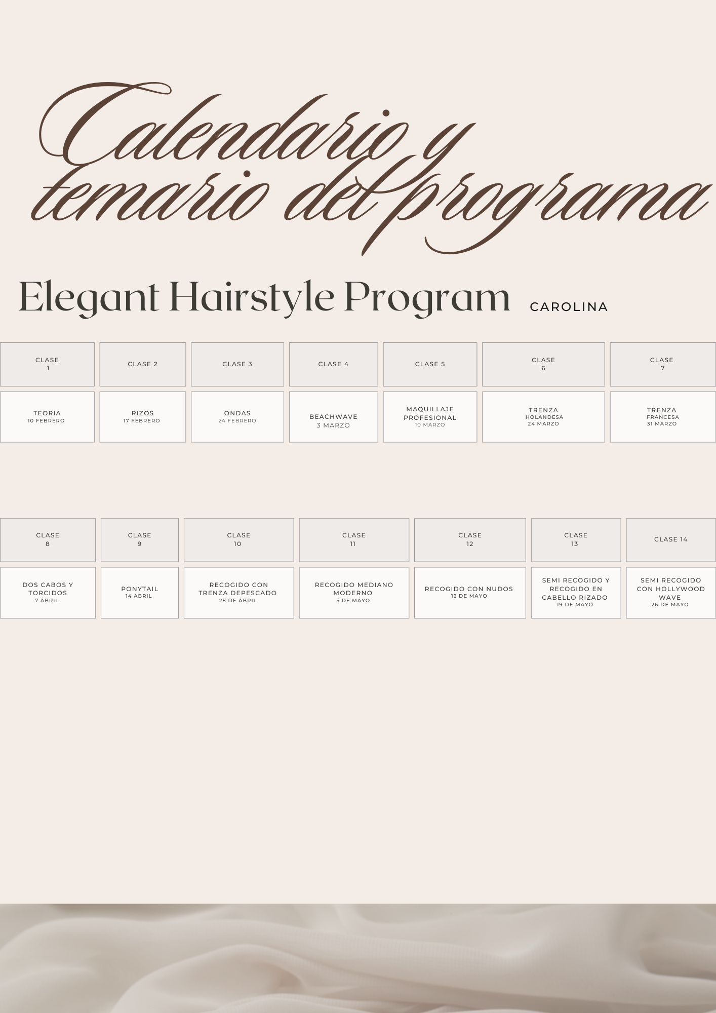 Elegant Hairstyle Program - Matricula